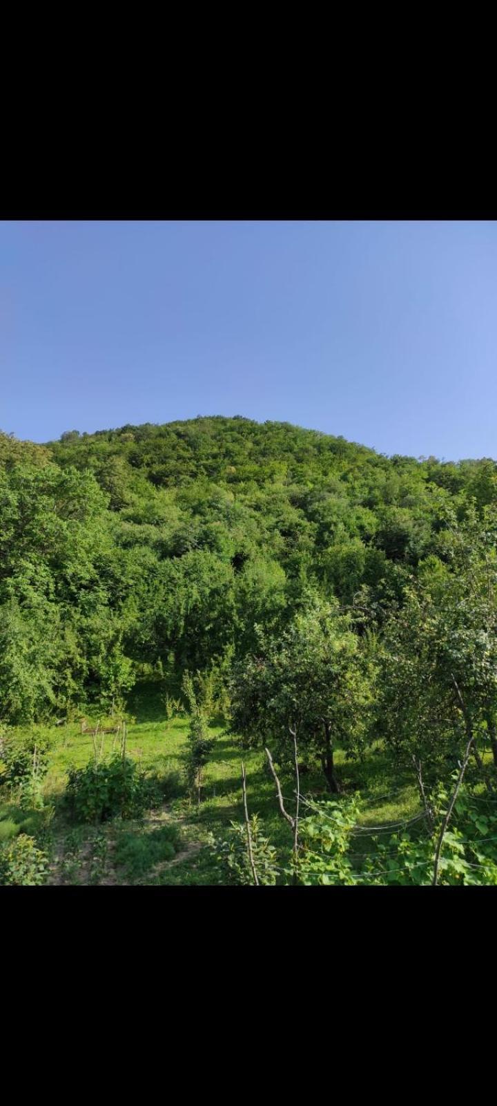 Md House Hotel Ijevan Exterior foto